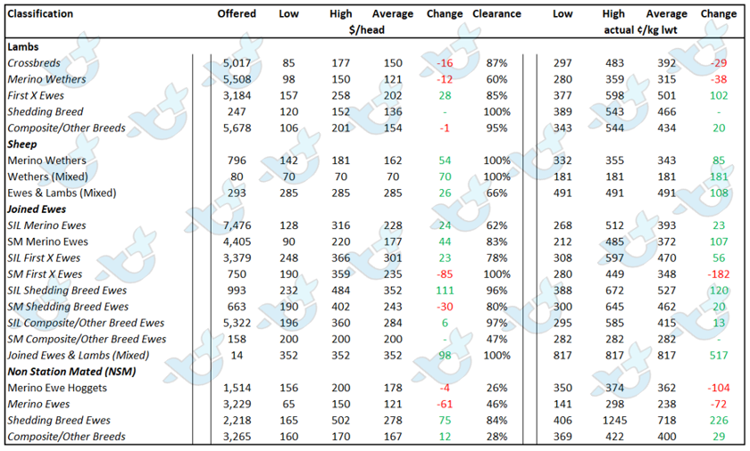 Auctionsplus Sheep & Lamb Comments sheep& Lamb table  6.5.22