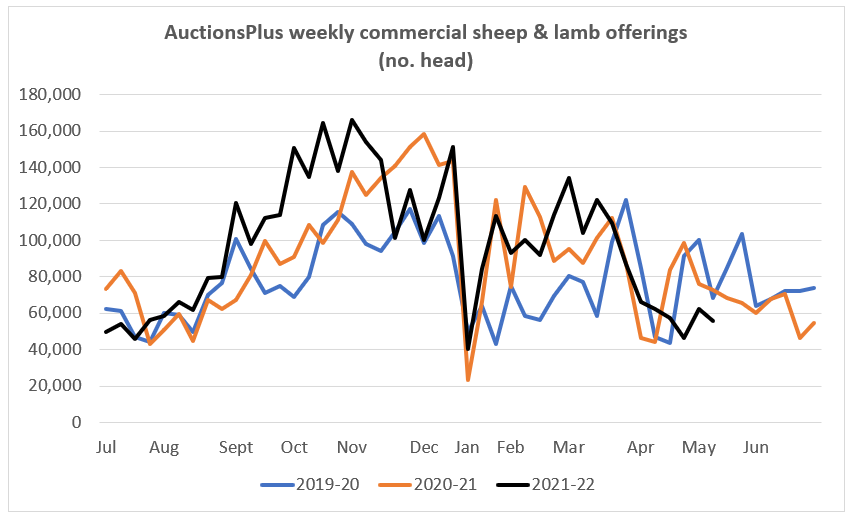 Auctionsplus Sheep & Lamb Comments weekly commercial sheep and lamb offerings no of head 6.5.22