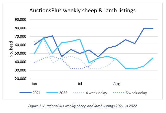 Auctionsplus Sheep and lamb comments  fig 3 5.9.22