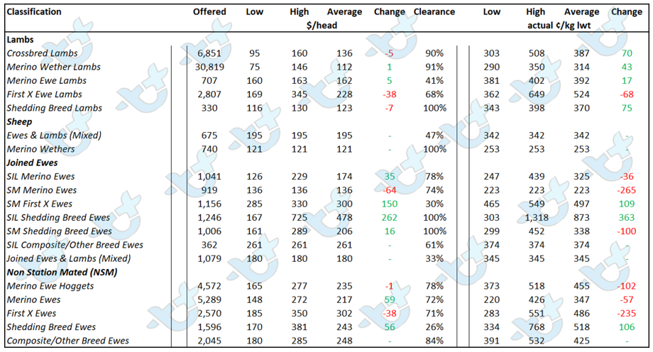 Auctionsplus Sheep and lamb comments table 1 9.9.22