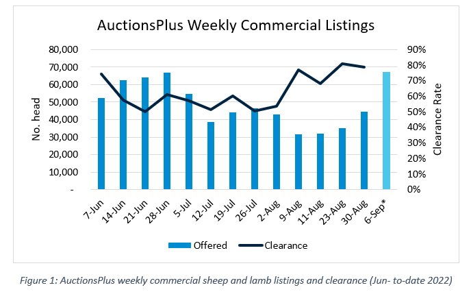 Auctionsplus Sheep and lamb comments weekly commerical listings 5.9.22