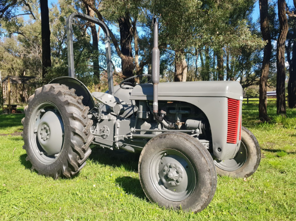 Auctionsplus Thing no. 2 TEA20 Grey Ferguson Tractor 8.9.22