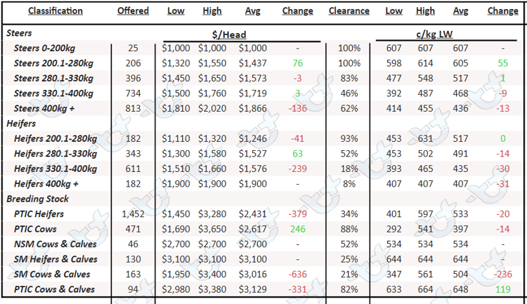 Auctionsplus angus cattle prices 20.1.23