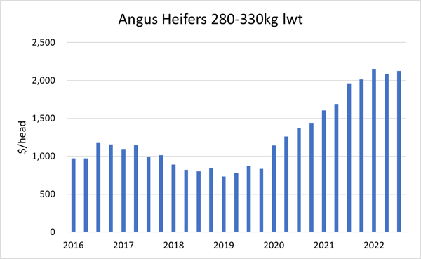 Auctionsplus angus heifers marketpulse breed breakdown 3.11.22