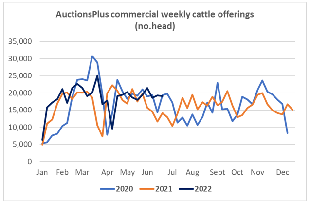 Auctionsplus cattle comments  chart  24.6.22