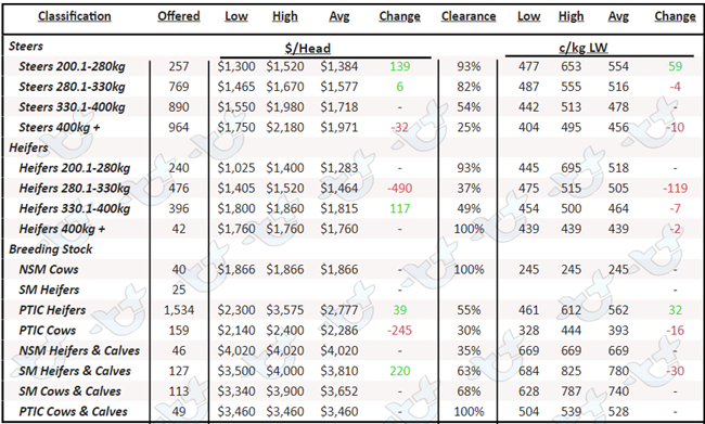 Auctionsplus cattle comments angus cattle prices