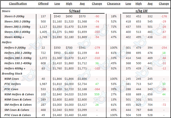 Auctionsplus cattle comments national cattle prices 13.1.23