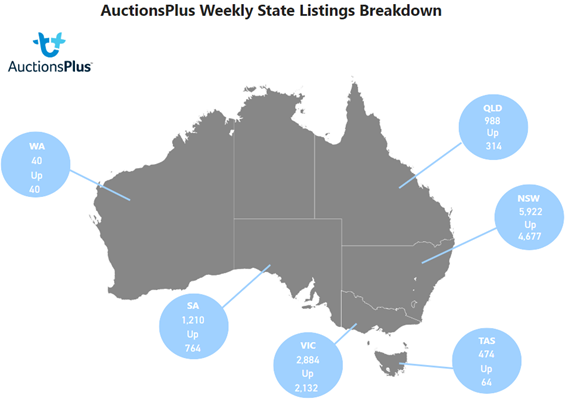 Auctionsplus cattle comments weekly state listings breakdown 13.1.23