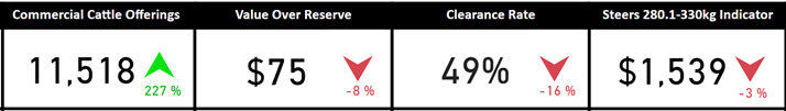 Auctionsplus cattle snapshot 13.1.23