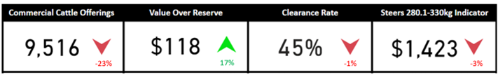 Auctionsplus cattle snapshot 3.2.23