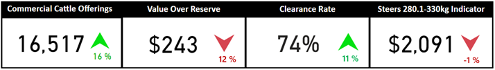 Auctionsplus cattle snapshot 4.11.22