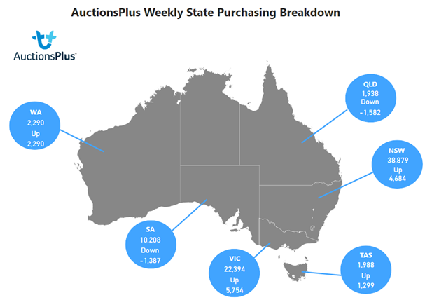 Auctionsplus cattle weekly state purchasing breakdown 25.11.22