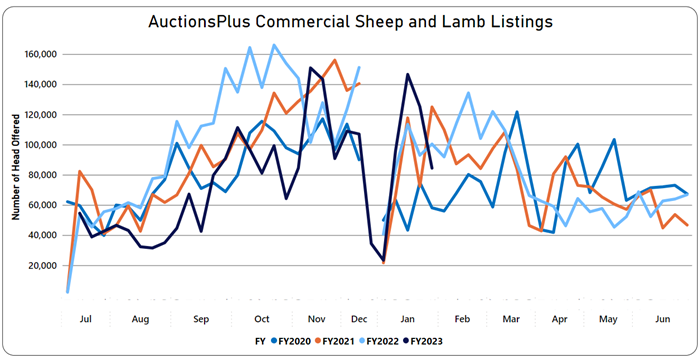 Auctionsplus commercial sheep and lamb listings 1.2.23