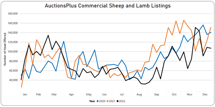 Auctionsplus commercial sheep and lamb listings 16.12.22