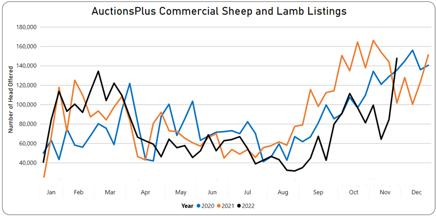 Auctionsplus commercial sheep and lamb listings 18.11.22