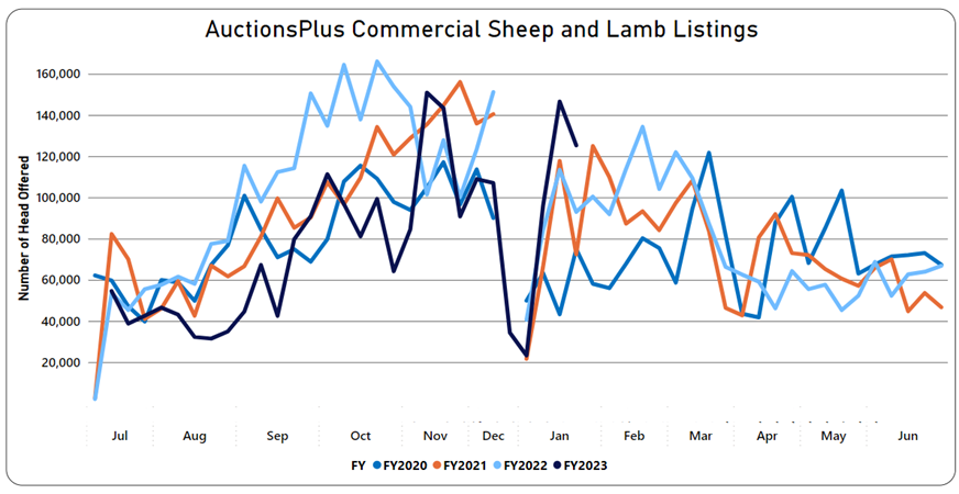 Auctionsplus commercial sheep and lamb listings 27.1.23