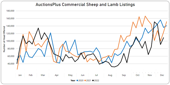 Auctionsplus commercial sheep and lamb listings 9.12.22