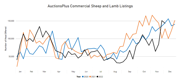 Auctionsplus commerical sheep and lamb listings 25.11.22