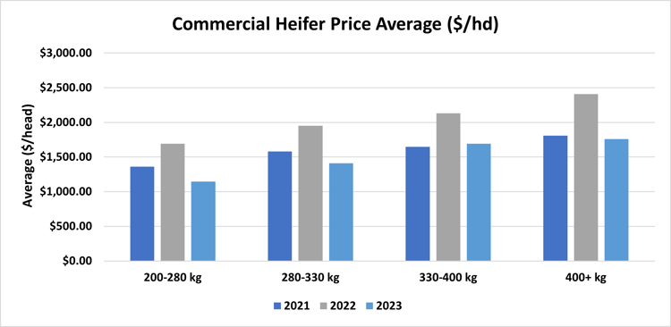 Auctionsplus figure 6 Commercial Heifer Price Average