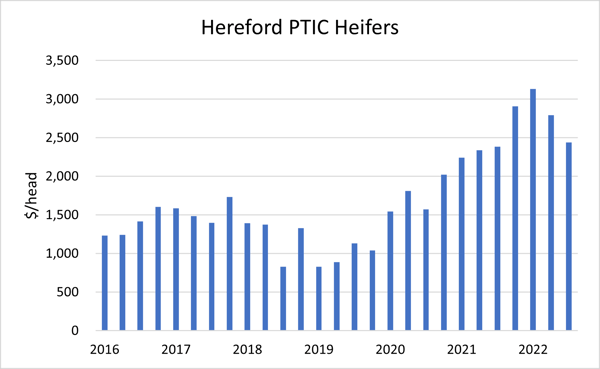 Auctionsplus hereford heifers marketpulse breed breakdown 3.11.22