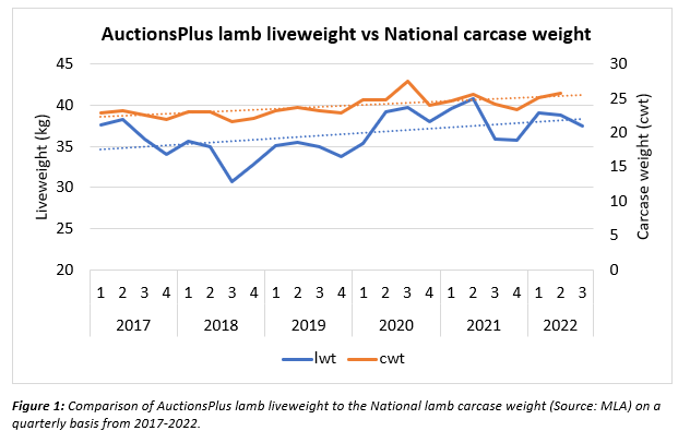 Auctionsplus lamb liveweight vs national carcase weight 10.11.22