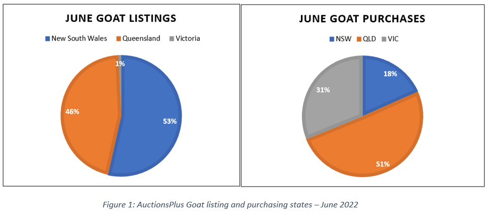 Auctionsplus market comments Fig 1 auctionsplus goat listings adn purhasing states june 2022 6.7.22