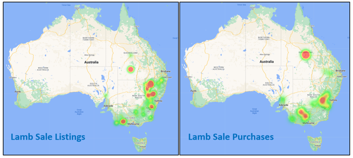 Auctionsplus market comments Lamb sale listings 8.7.22