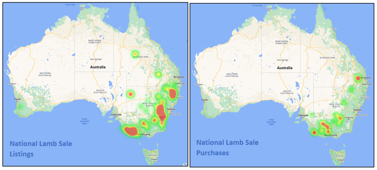 Auctionsplus market comments National lamb listing and sale 17.6.22