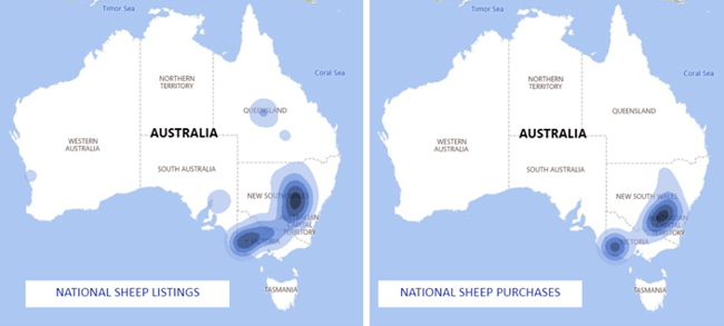 Auctionsplus market comments National sheep listing and purchases 30.11.22