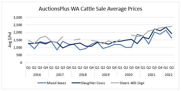 Auctionsplus market comments WA Cattle Sale Average Prices 16.6.22-1
