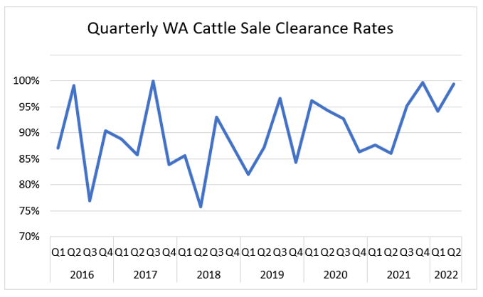 Auctionsplus market comments WA cattle sale clearance rates 16.6.22