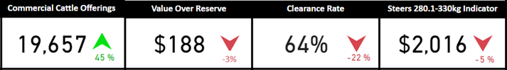 Auctionsplus market comments cattle comments snapshot 30.9.22