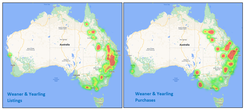 Auctionsplus market comments cattle heatmap 1.7.22