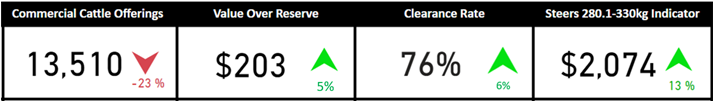 Auctionsplus market comments cattle snapshot