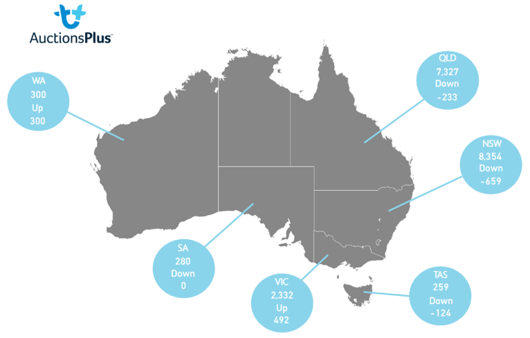 Auctionsplus market comments cattle state map 1.7.22