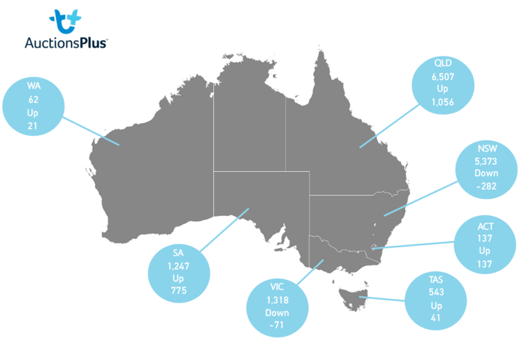 Auctionsplus market comments cattle state map 21.10.22