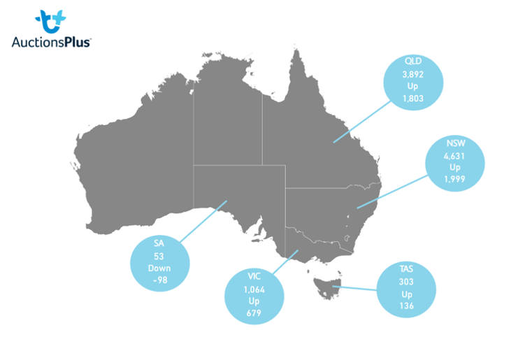 Auctionsplus market comments cattle state map 26.8.22