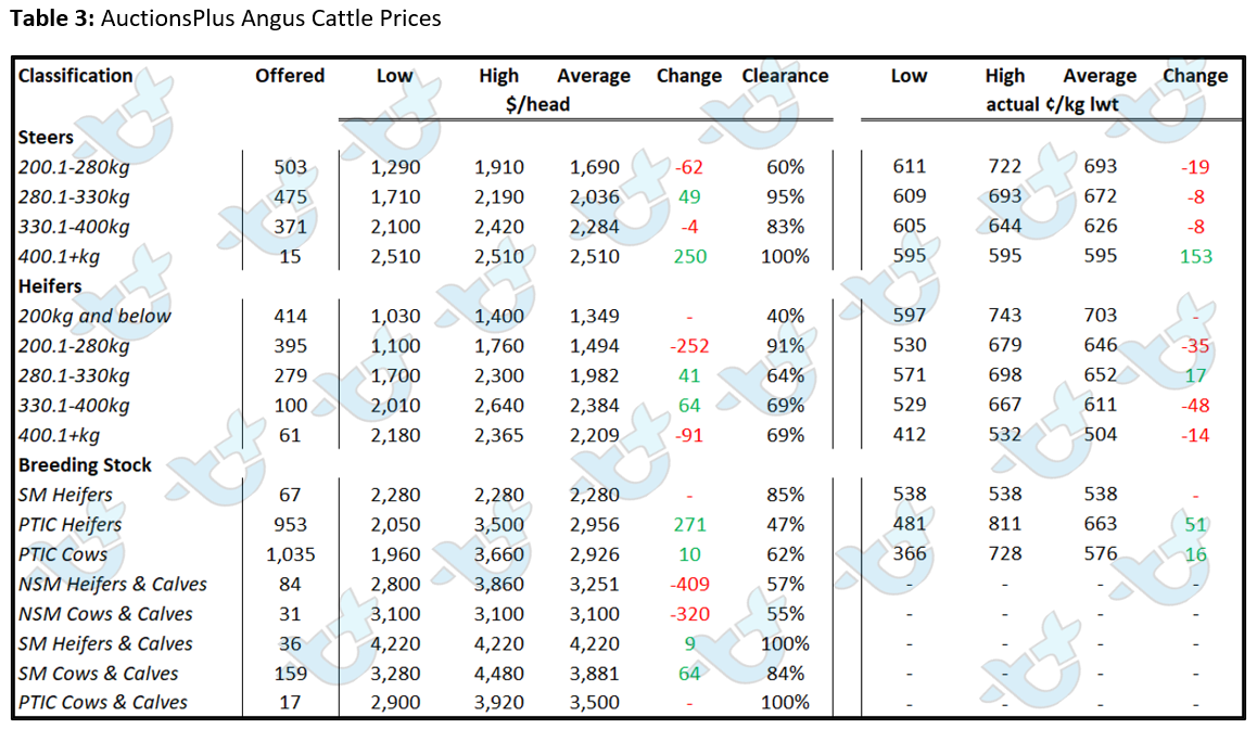 Auctionsplus market comments cattle table 3 8.7.22