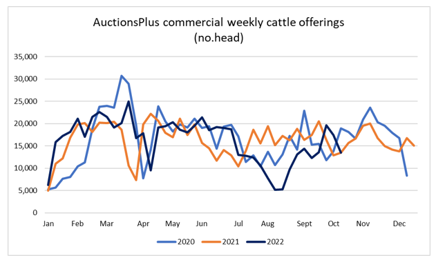 Auctionsplus market comments cattle weekly offering 14.10.22