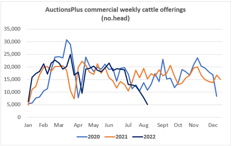 Auctionsplus market comments commercial cattle offering 12.8.22