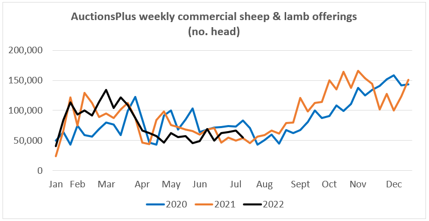 Auctionsplus market comments commercial sheep and lamb offerings 8.7.22