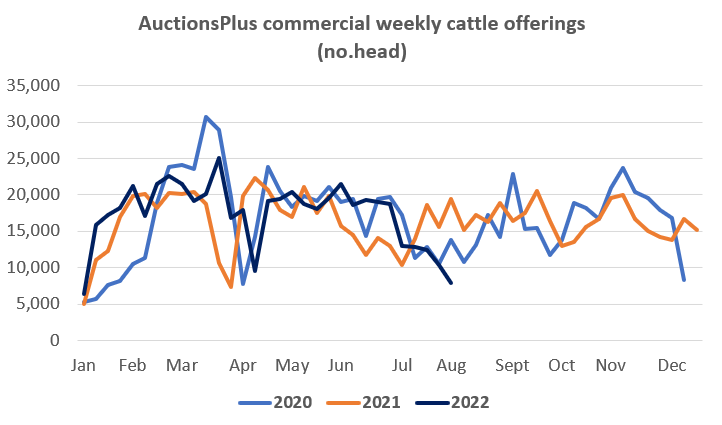 Auctionsplus market comments commercial weekly cattler offering 5.8.22
