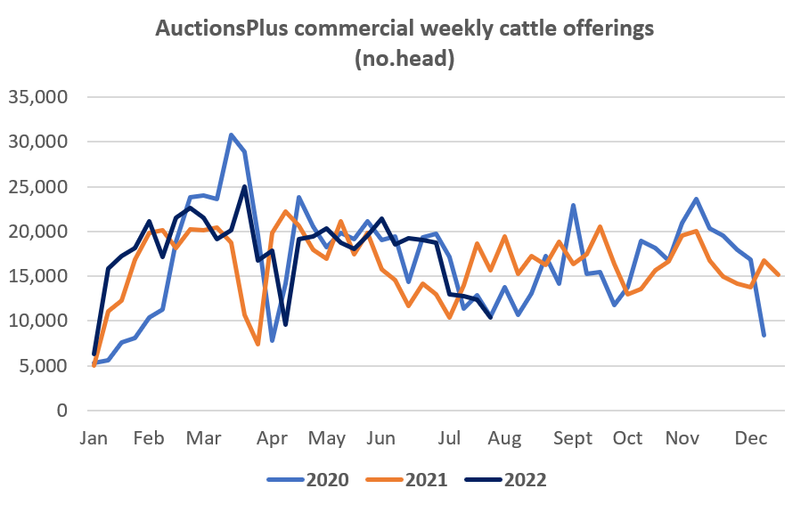 Auctionsplus market comments commerical weekly cattle offerings  29.7.22