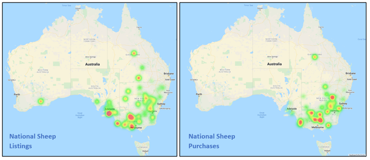 Auctionsplus market comments heat map national sheep listings national sheep purchases friday 13 may