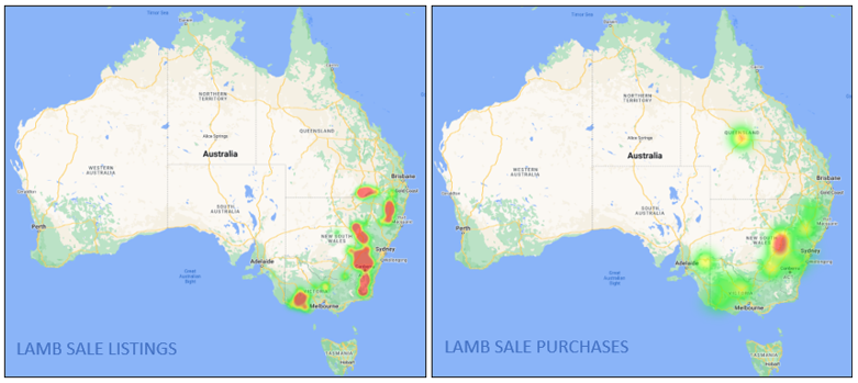 Auctionsplus market comments lamb sale listings and purchases 24.6.22