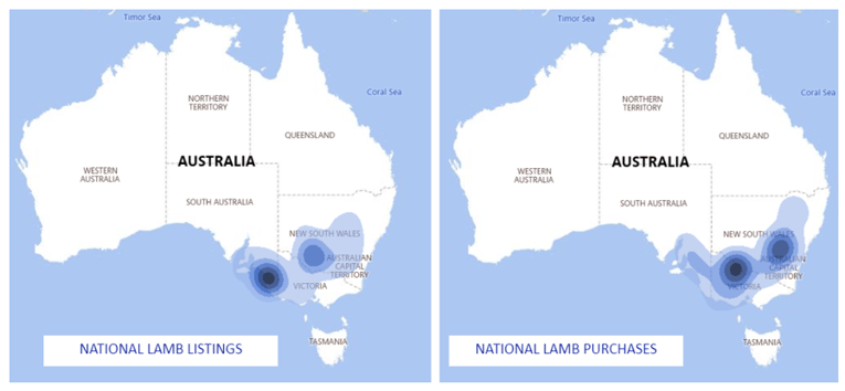 Auctionsplus market comments national lamb listing and purchases 14.10.22