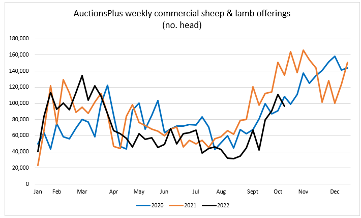 Auctionsplus market comments national sheep and lamb offerings  14.10.22