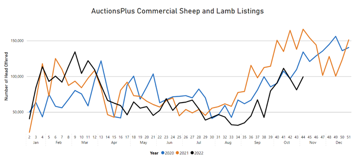 Auctionsplus market comments national sheep and lamb offerings  28.10.22