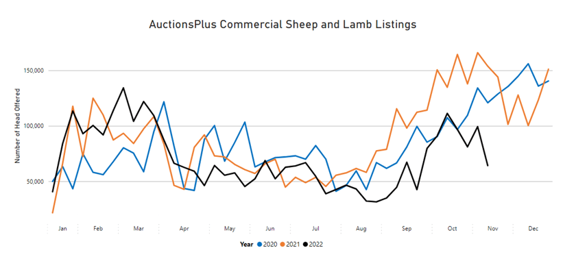 Auctionsplus market comments national sheep and lamb offerings  4.11.22-1