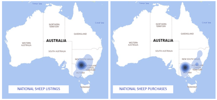 Auctionsplus market comments national sheep listing and purchases 14.10.22